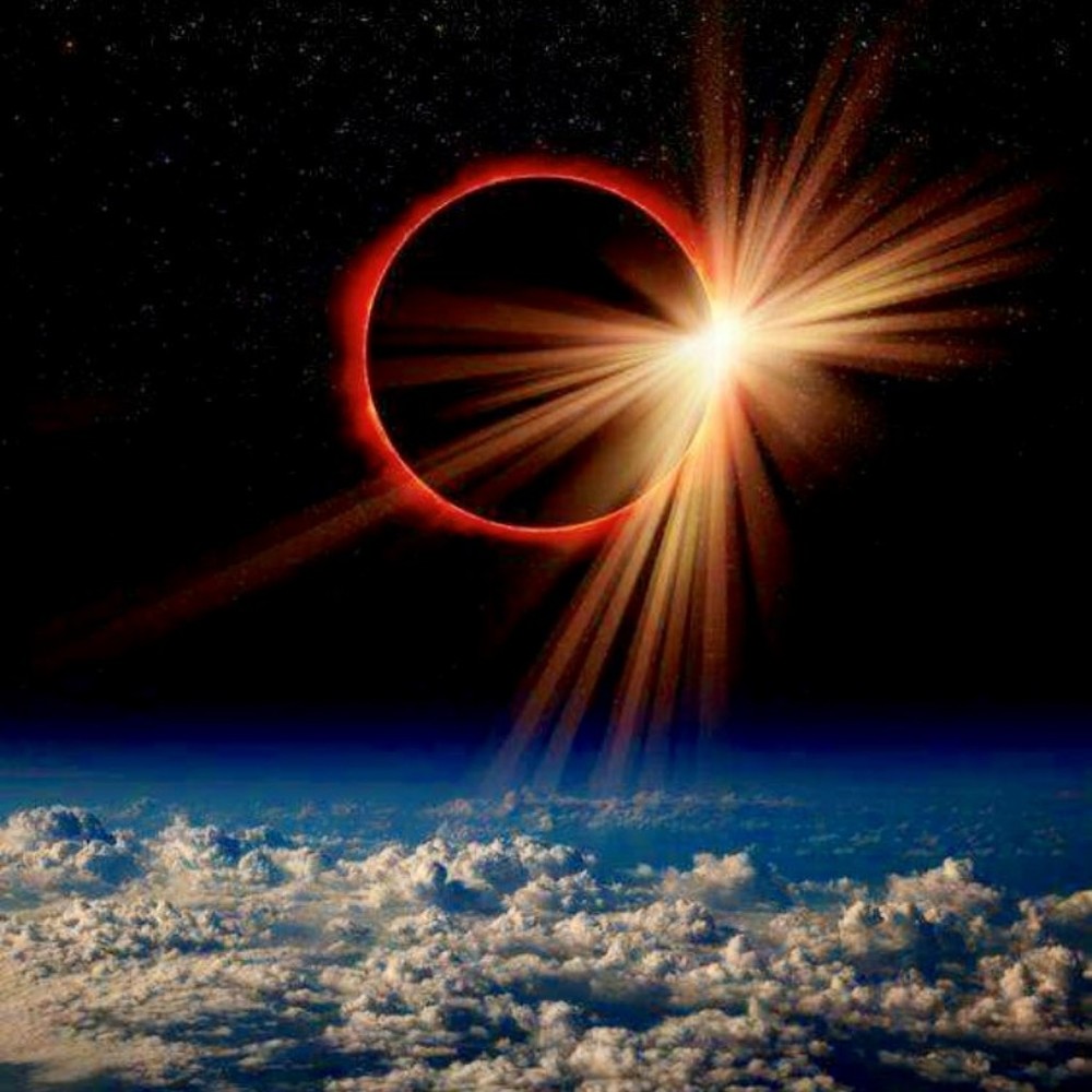 Meet your Posher, Roselyn